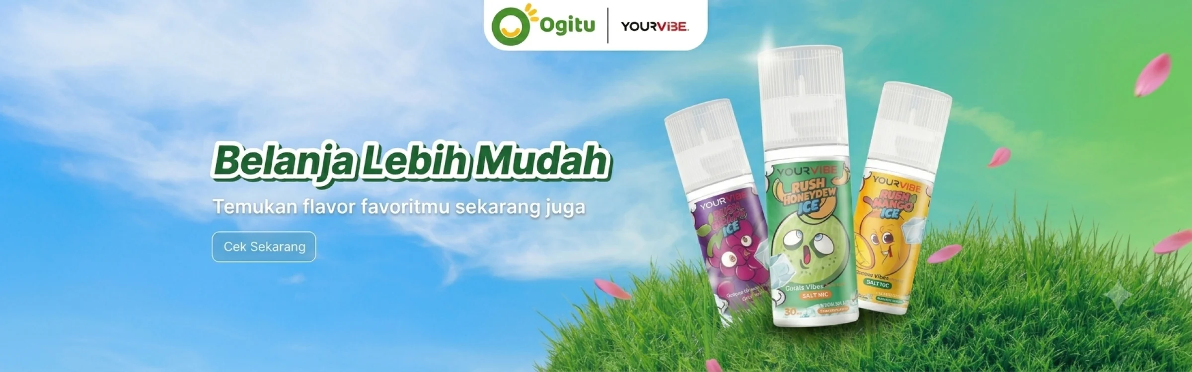 YourVibe Vaganza